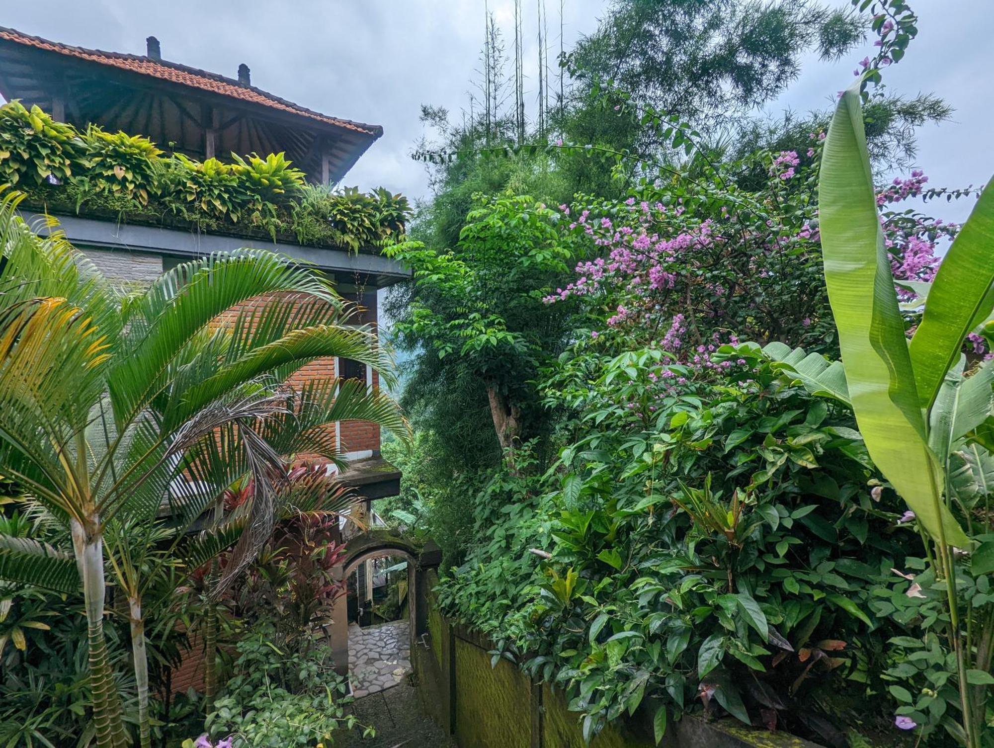 Bali Munduk Delux Bungalow Villa Singaraja  Bagian luar foto
